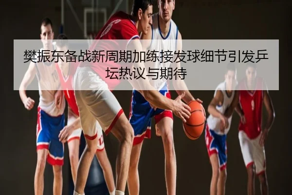 樊振东备战新周期加练接发球细节引发乒坛热议与期待