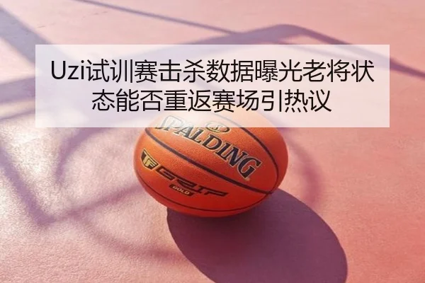 Uzi试训赛击杀数据曝光老将状态能否重返赛场引热议
