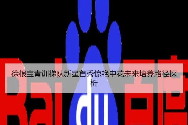 徐根宝青训梯队新星首秀惊艳申花未来培养路径探析